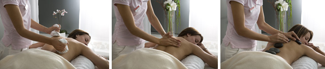 Holzer   cosmetic | massage | wellness