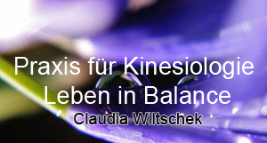 Praxis für Kinesiologie Claudia Wiltschek
