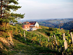 Weingut Buschenschank Puschnig