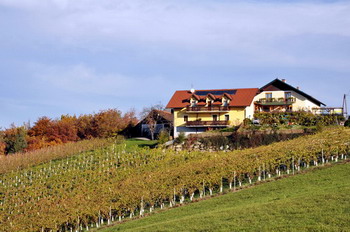 Urlaub am Bauernhof Kopperhof Jausenstadion